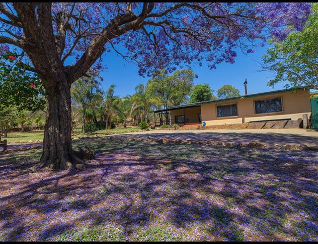FARM FOR SALE IN DE WAGENSDRIFT AH